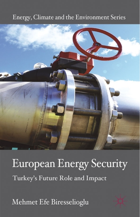 Cover image for book European Energy Security
