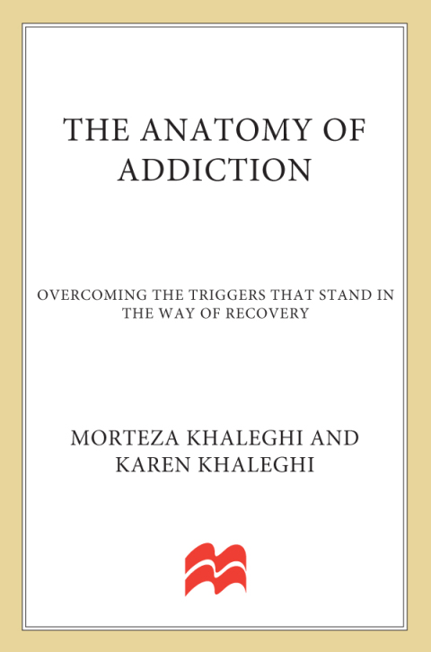 Cover image for book The Anatomy of Addiction