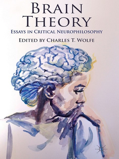 Cover image for book Brain Theory