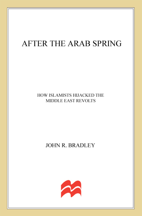 Cover image for book After the Arab Spring