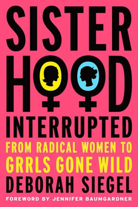 Cover image for book Sisterhood, Interrupted