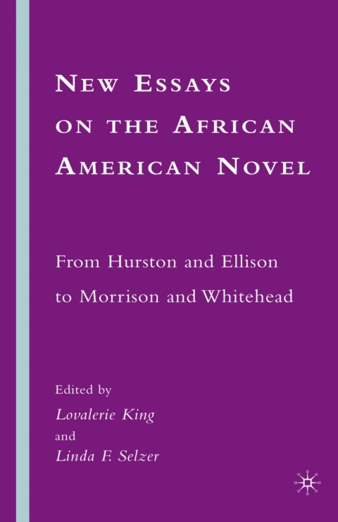 Cover image for book New Essays on the African American Novel