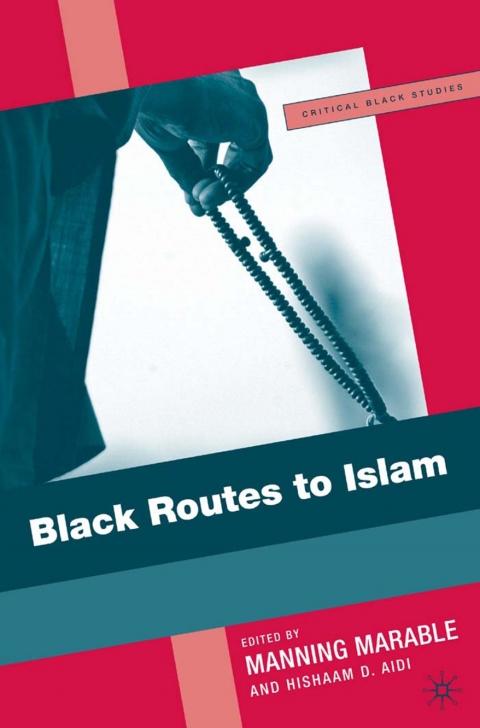 Cover image for book Black Routes to Islam