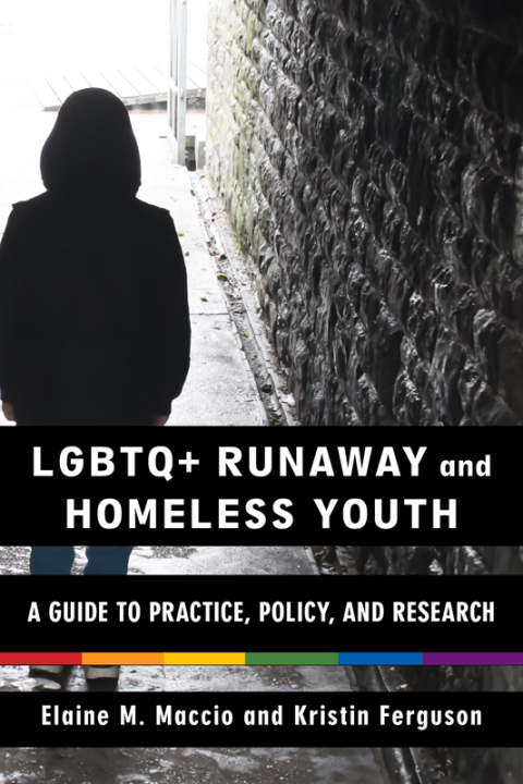 Cover image for book LGBTQ+ Runaway and Homeless Youth