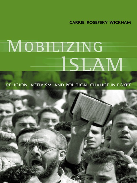 Cover image for book Mobilizing Islam