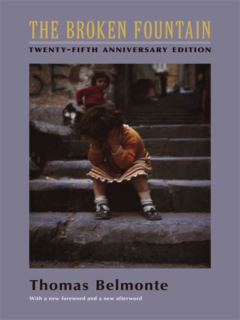 Cover image for book The Broken Fountain