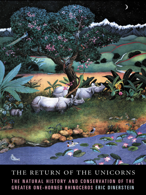 Cover image for book The Return of the Unicorns