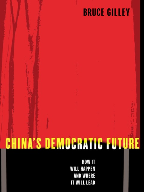 Cover image for book China's Democratic Future