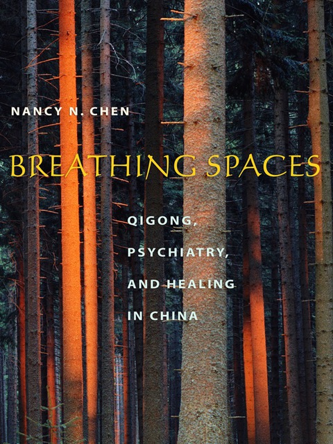 Cover image for book Breathing Spaces