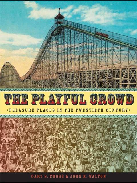 Cover image for book The Playful Crowd