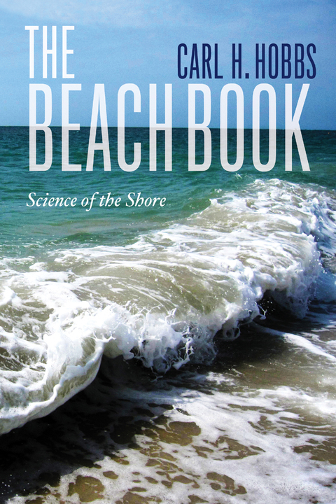 Cover image for book The Beach Book