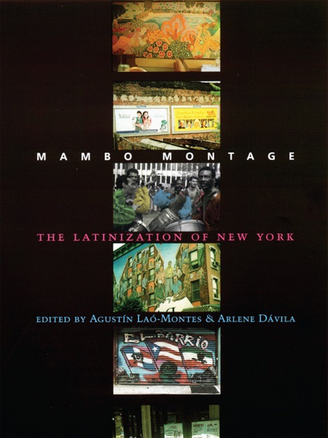 Cover image for book Mambo Montage