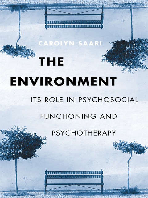 Cover image for book The Environment