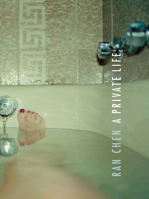 Cover image for book A Private Life