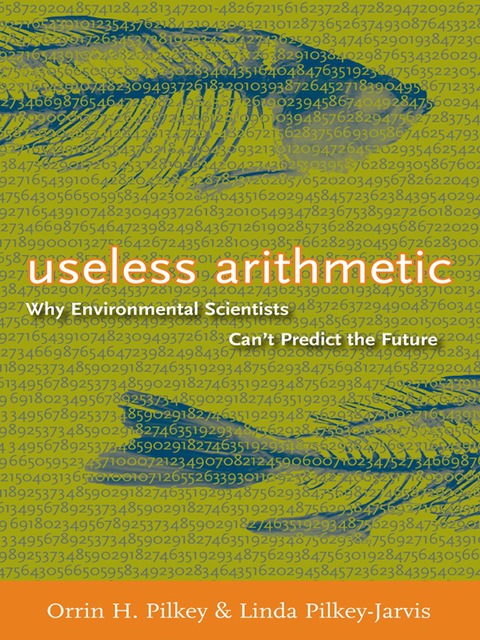 Cover image for book Useless Arithmetic