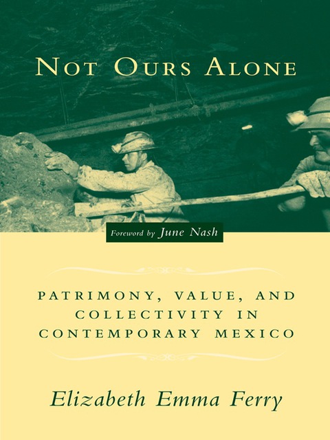 Cover image for book Not Ours Alone