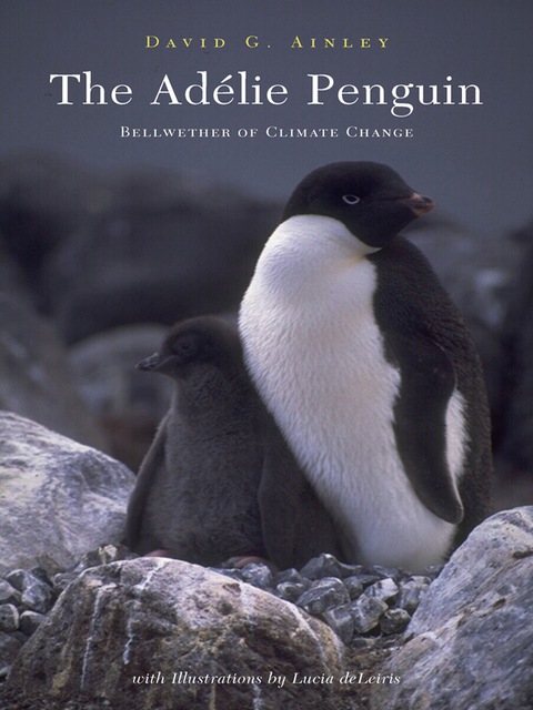 Cover image for book The Adélie Penguin