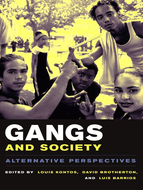 Cover image for book Gangs and Society