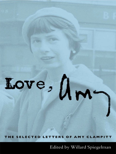 Cover image for book Love, Amy