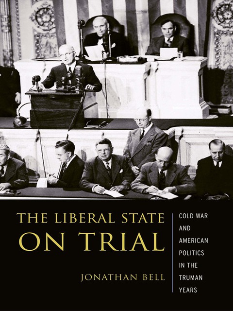 Cover image for book The Liberal State on Trial