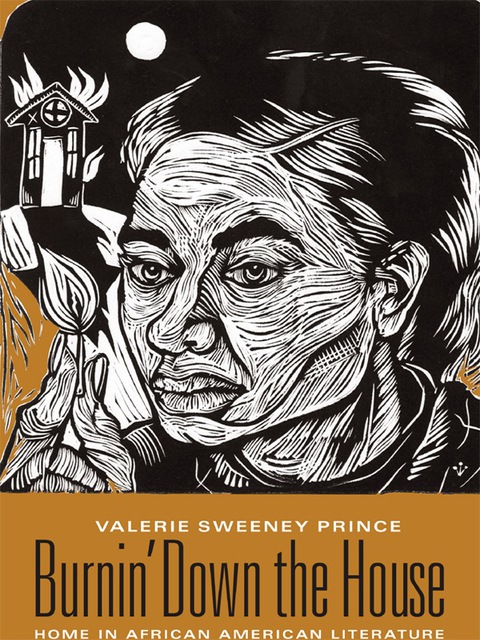 Cover image for book Burnin' Down the House