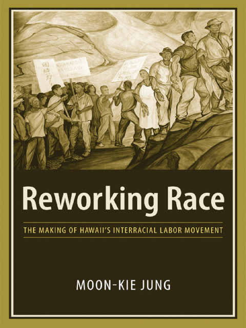 Cover image for book Reworking Race