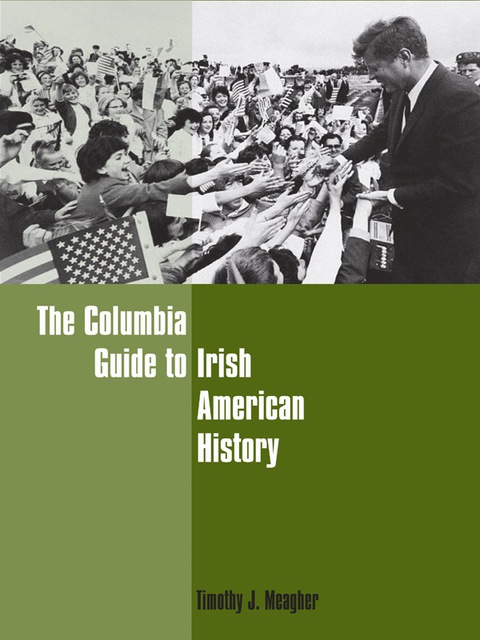Cover image for book The Columbia Guide to Irish American History