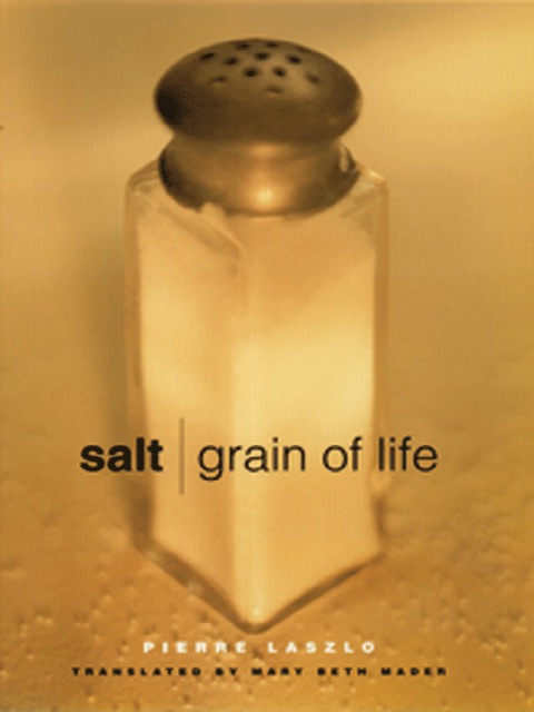 Cover image for book Salt