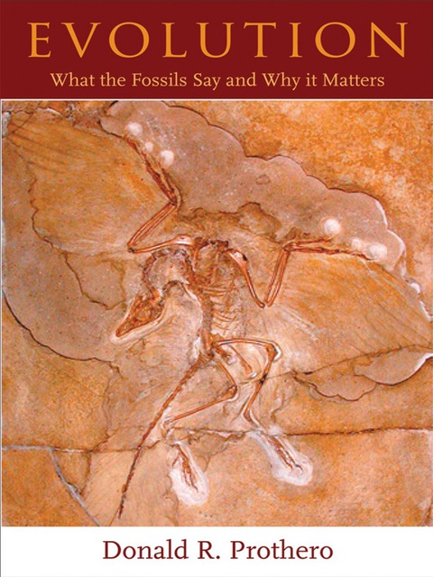 Cover image for book Evolution