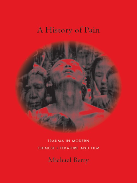 Cover image for book A History of Pain