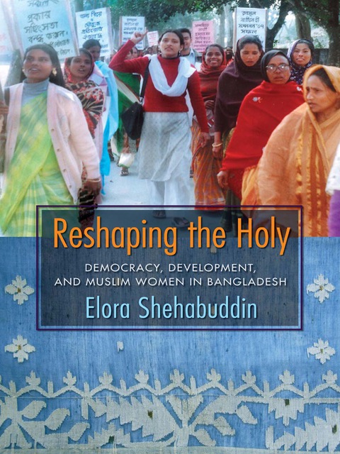 Cover image for book Reshaping the Holy