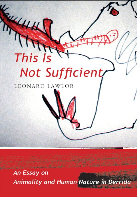 Cover image for book This Is Not Sufficient