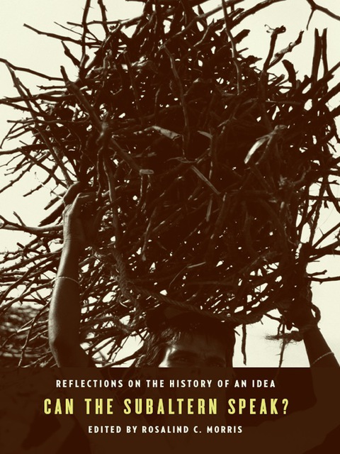 Cover image for book Can the Subaltern Speak?