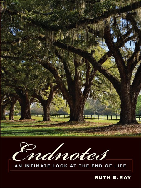 Cover image for book Endnotes