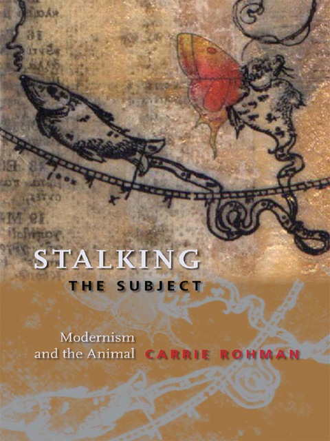 Cover image for book Stalking the Subject