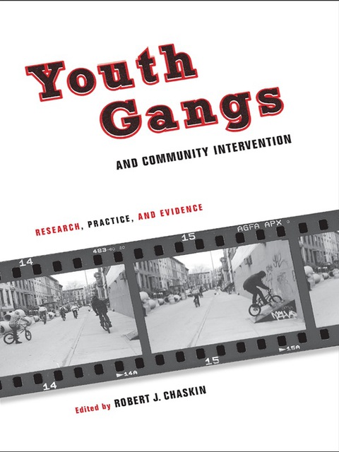 Cover image for book Youth Gangs and Community Intervention