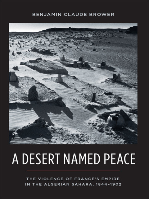 Cover image for book A Desert Named Peace