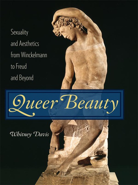Cover image for book Queer Beauty
