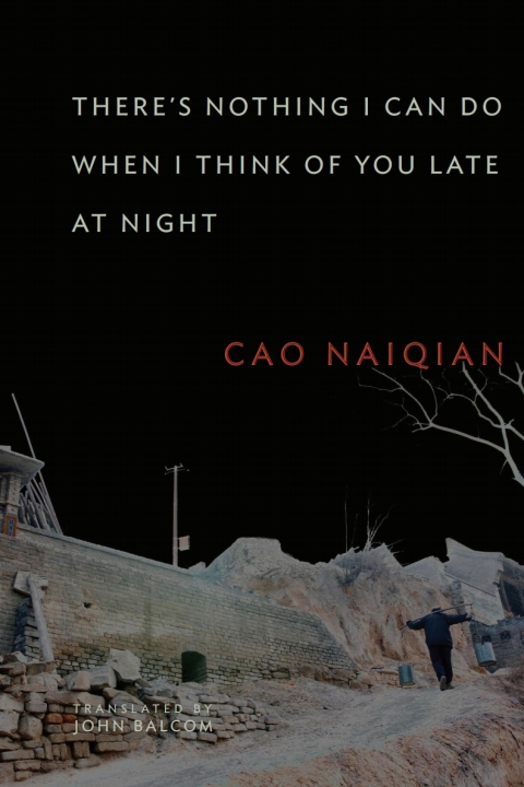 Cover image for book There’s Nothing I Can Do When I Think of You Late at Night