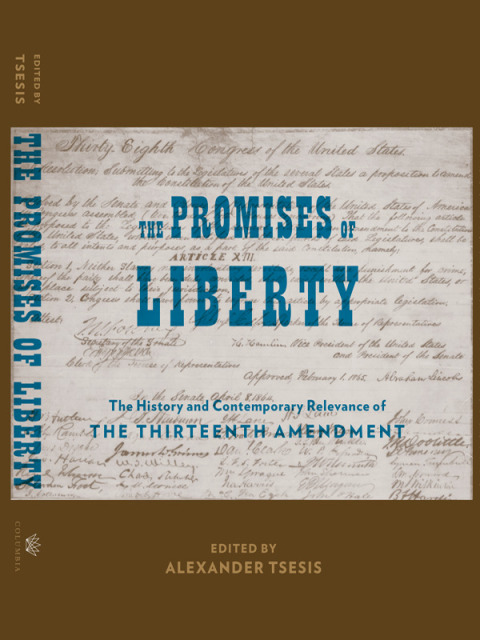 Cover image for book The Promises of Liberty