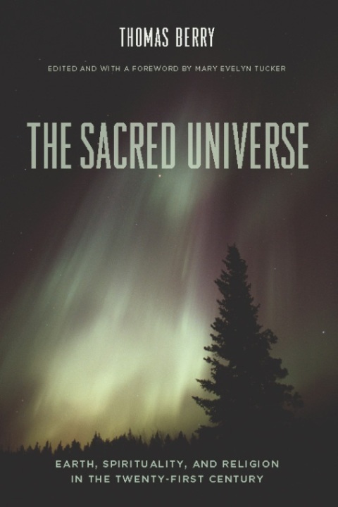 Cover image for book The Sacred Universe