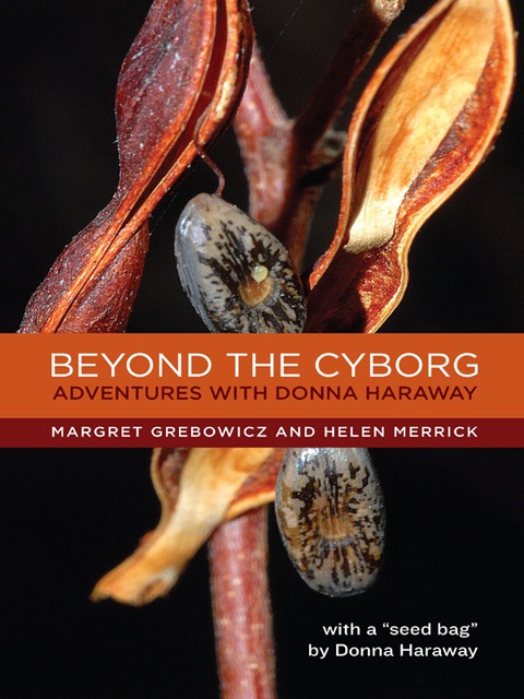 Cover image for book Beyond the Cyborg