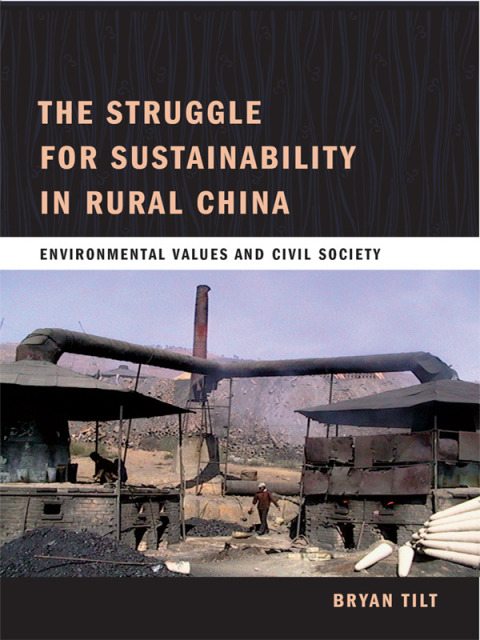 Cover image for book The Struggle for Sustainability in Rural China