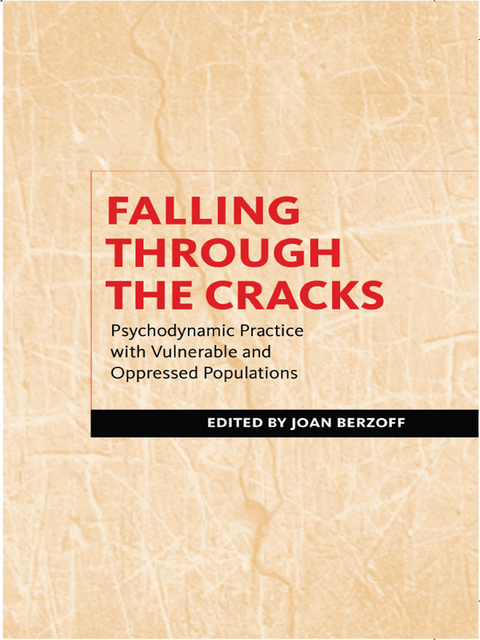 Cover image for book Falling Through the Cracks