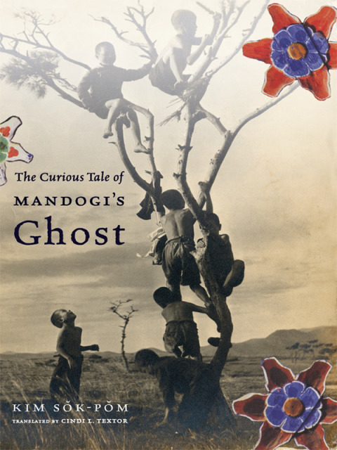 Cover image for book The Curious Tale of Mandogi's Ghost