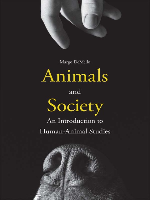 Cover image for book Animals and Society