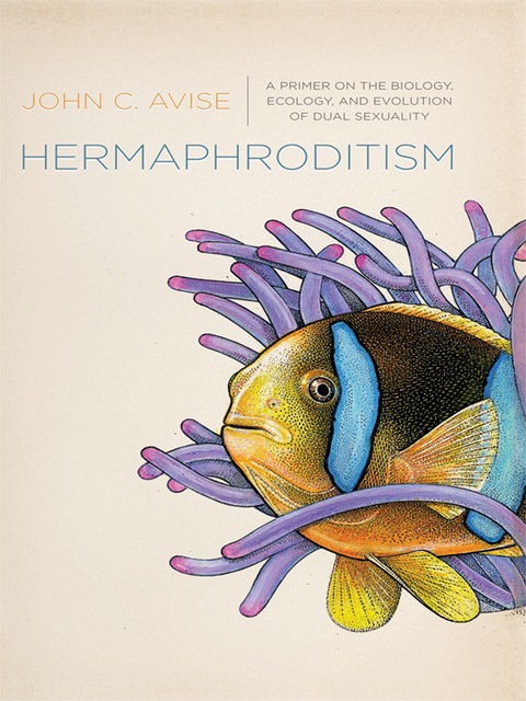 Cover image for book Hermaphroditism