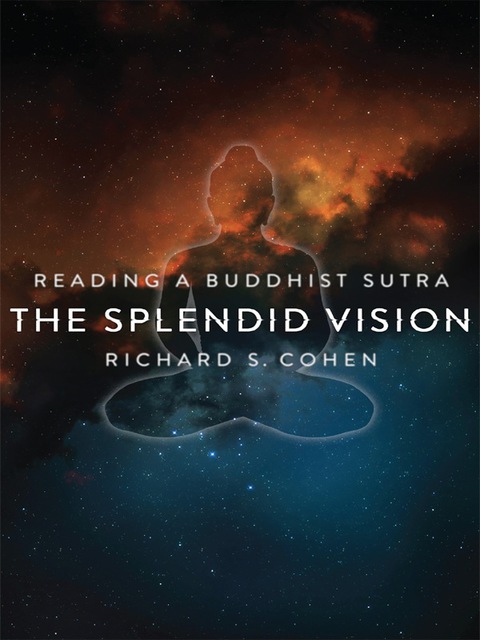 Cover image for book The Splendid Vision