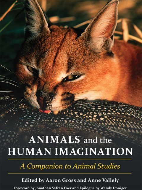 Cover image for book Animals and the Human Imagination