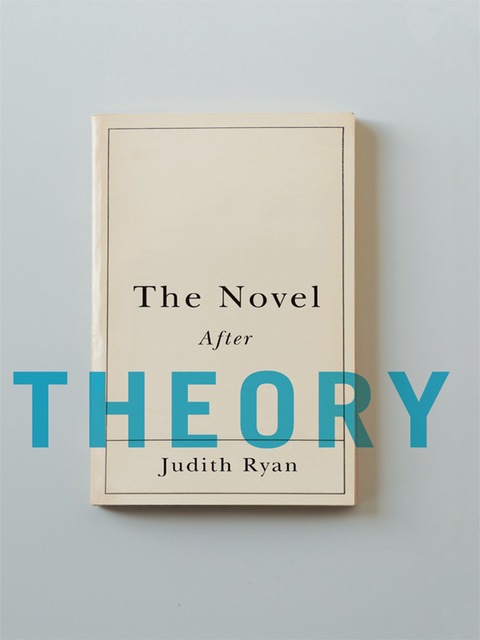 Cover image for book The Novel After Theory